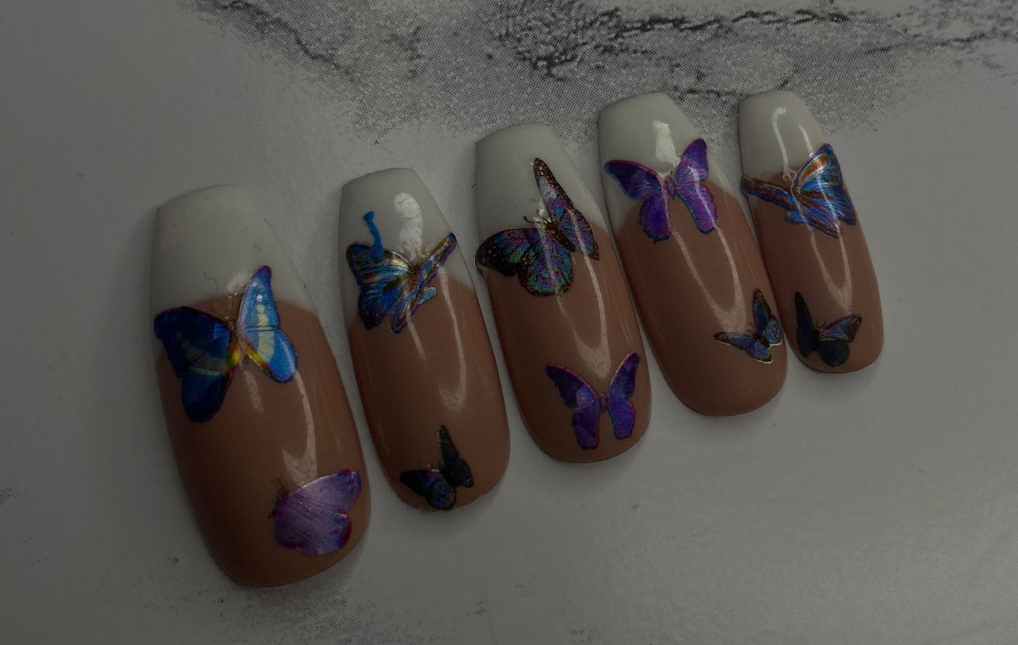Butterfly Paths